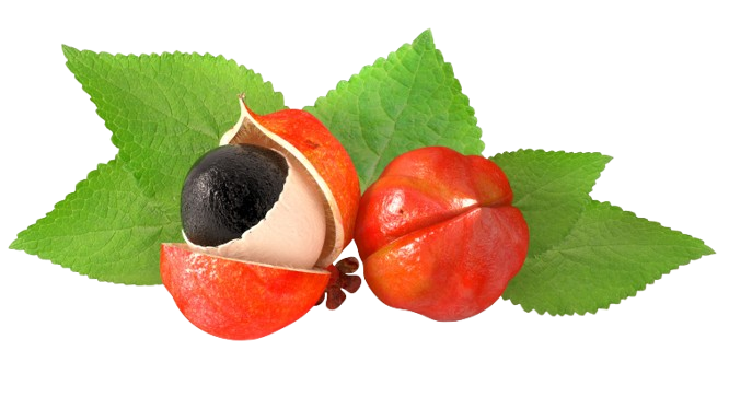 Blendea IQ+ Brain Booster 60 capsules