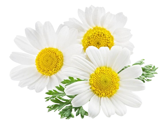 Blendea Sleep Drops 10ml