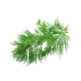 Blendea Digestion Drops 10ml