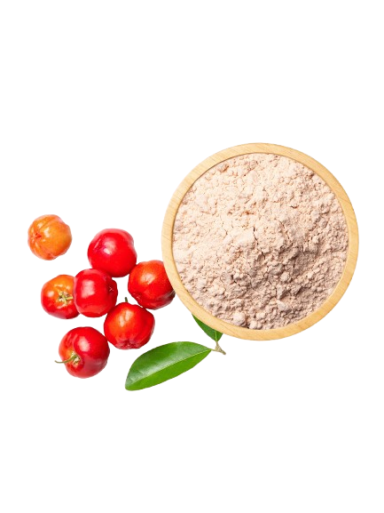 BrainMax Organic Vitamin C BIO Acerola, Vitamin C from Acerola, 60 plant-based capsules