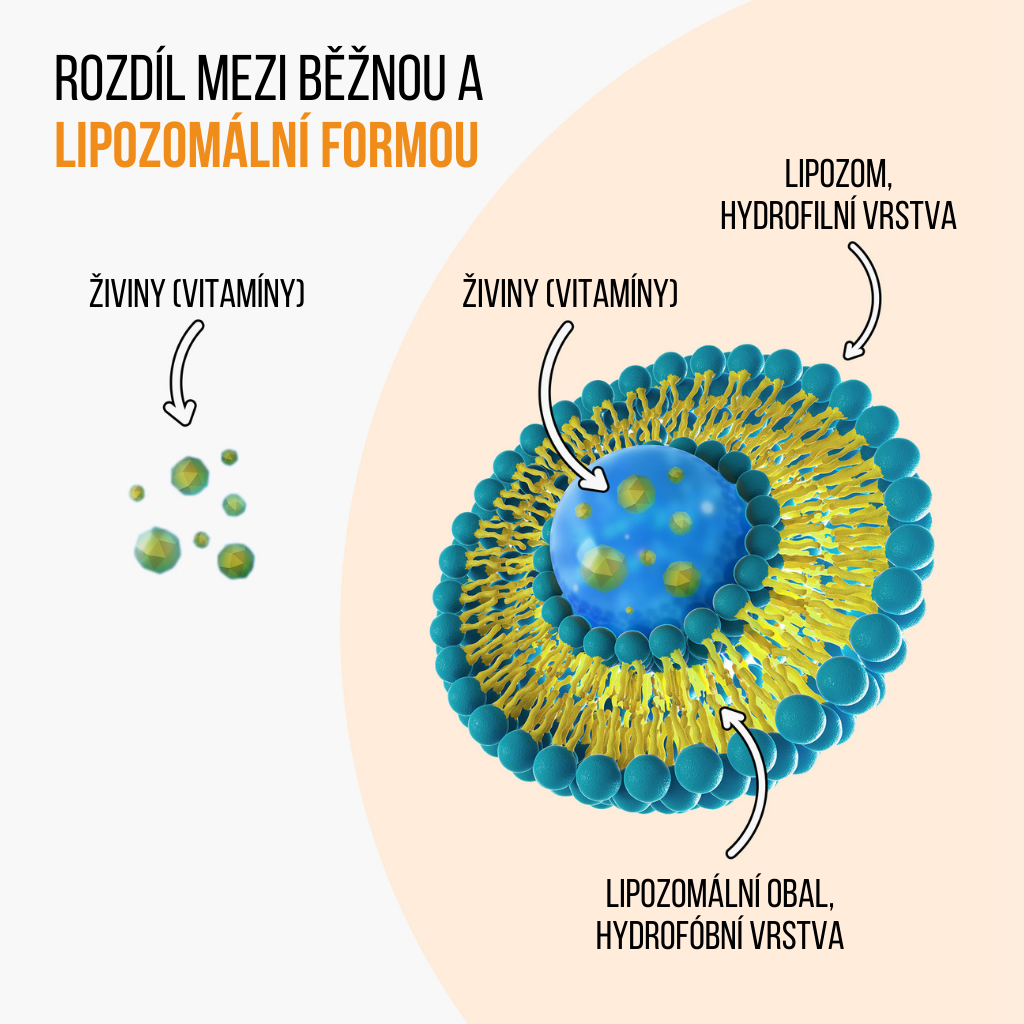 BrainMax IMMUNIZER!® 60 rostlinných kapslí