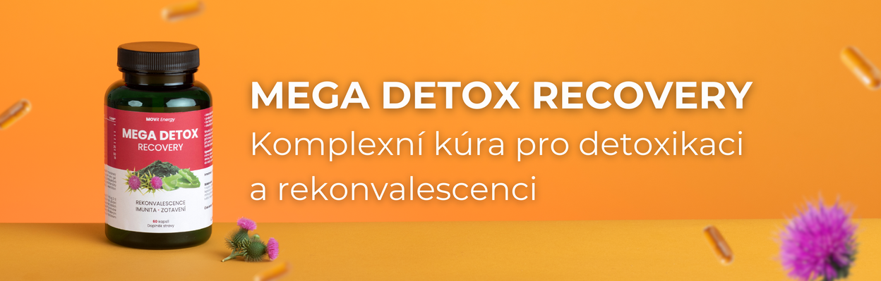 Milk thistle MOVit MEGA DETOX RECOVERY 60 capsules