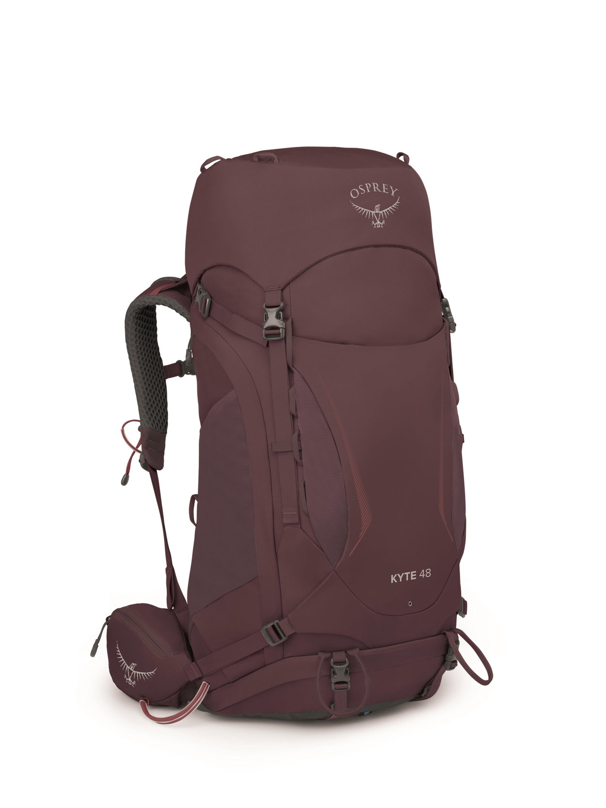 Elderberry Purple
