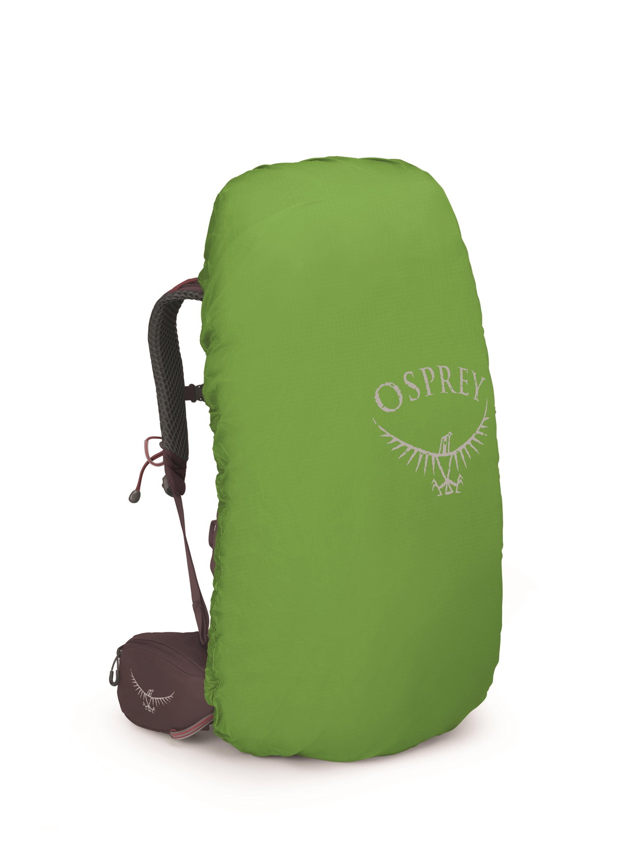 Elderberry Purple