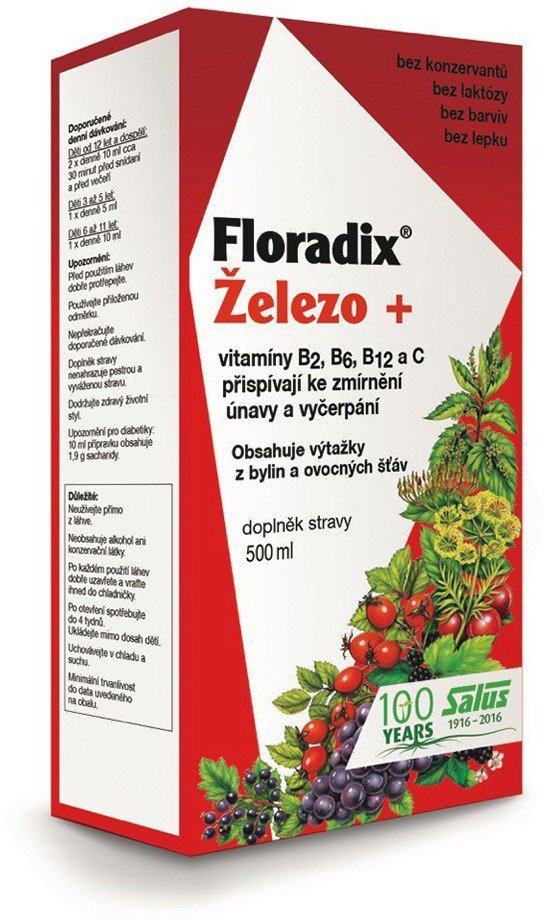 Iron SALUS Floradix 500 ml