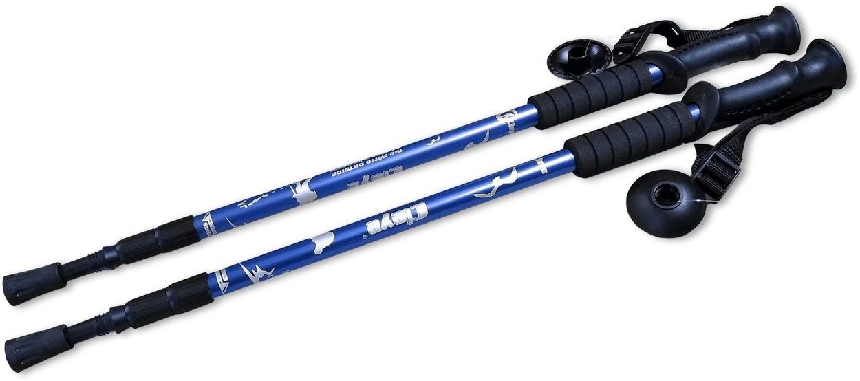Trekking poles Sedco Nordic 65 - 135 cm blue