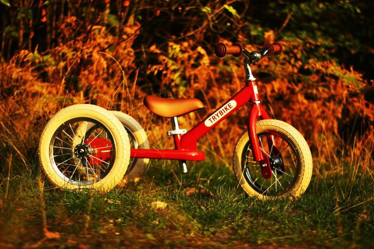 Sport bicycle Trybike red