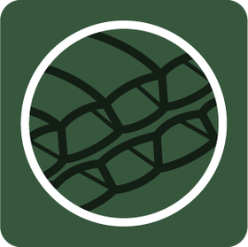 Campgo Ragana Junior Lime