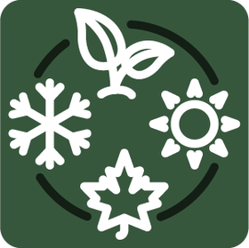 Campgo Wendigo Green