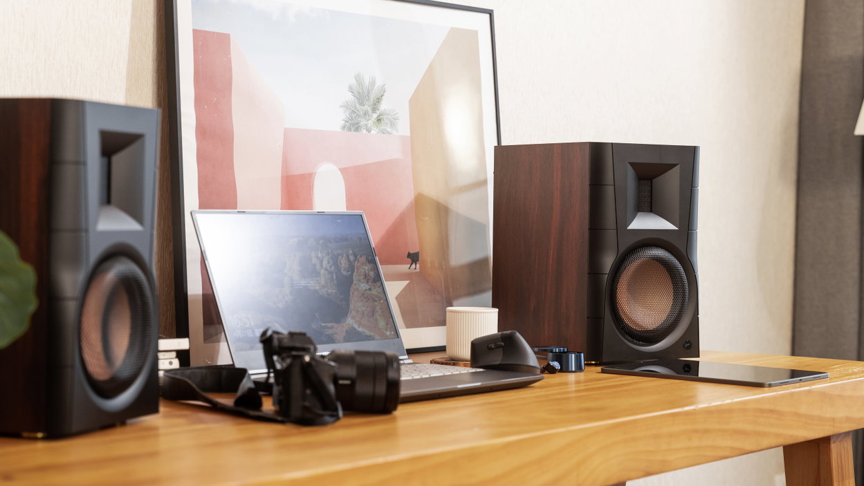 Swan D300 Speakers