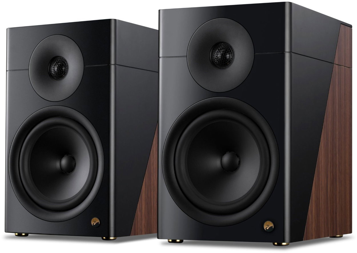 Swan D810 Speakers