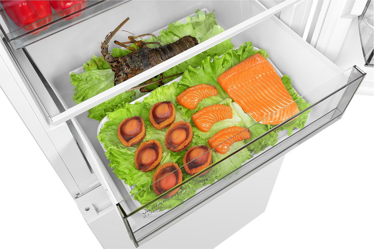 TCL RP456BWD0EU refrigerator