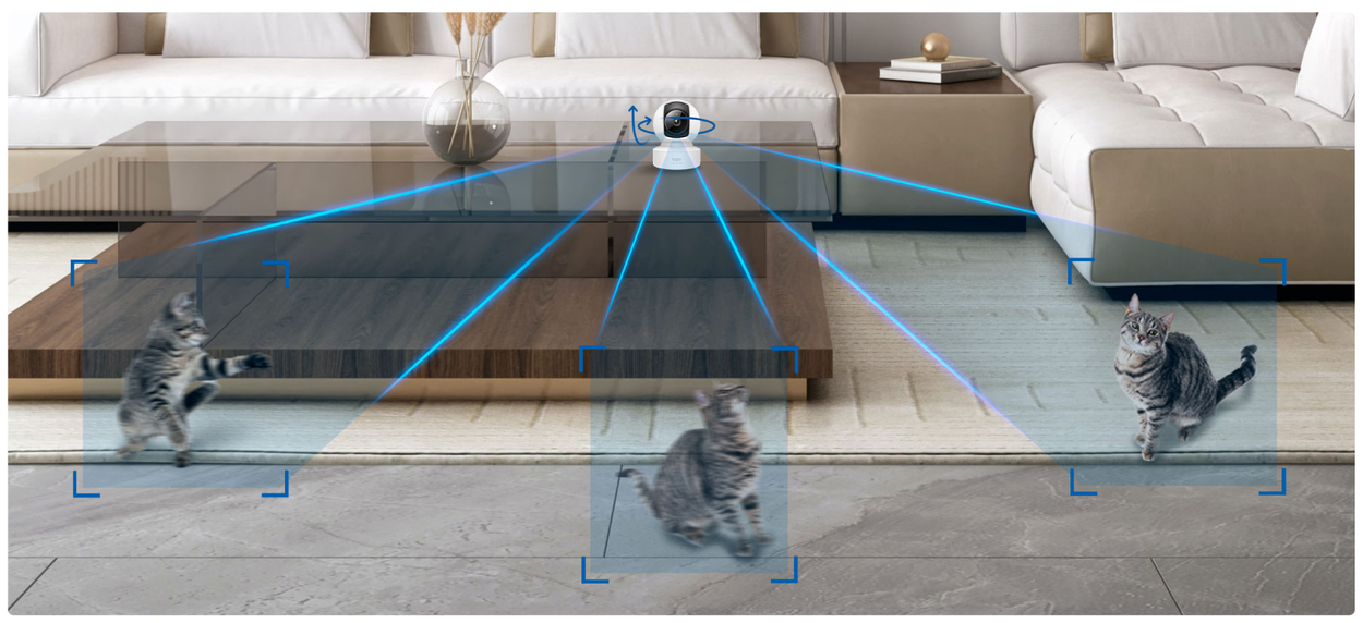 IP camera TP-Link Tapo C222