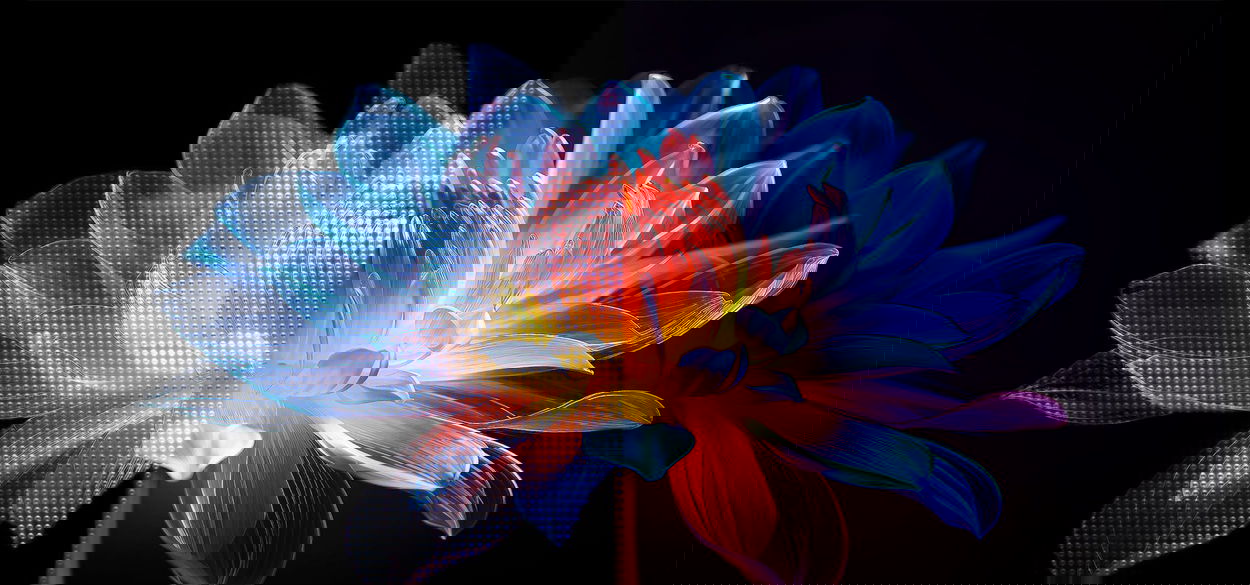 Chytrá TV  LG QNED85