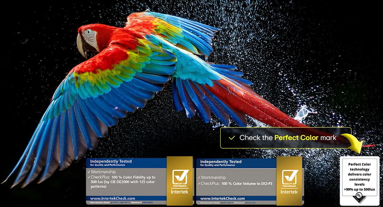 Chytrá TV LG OLED77B56