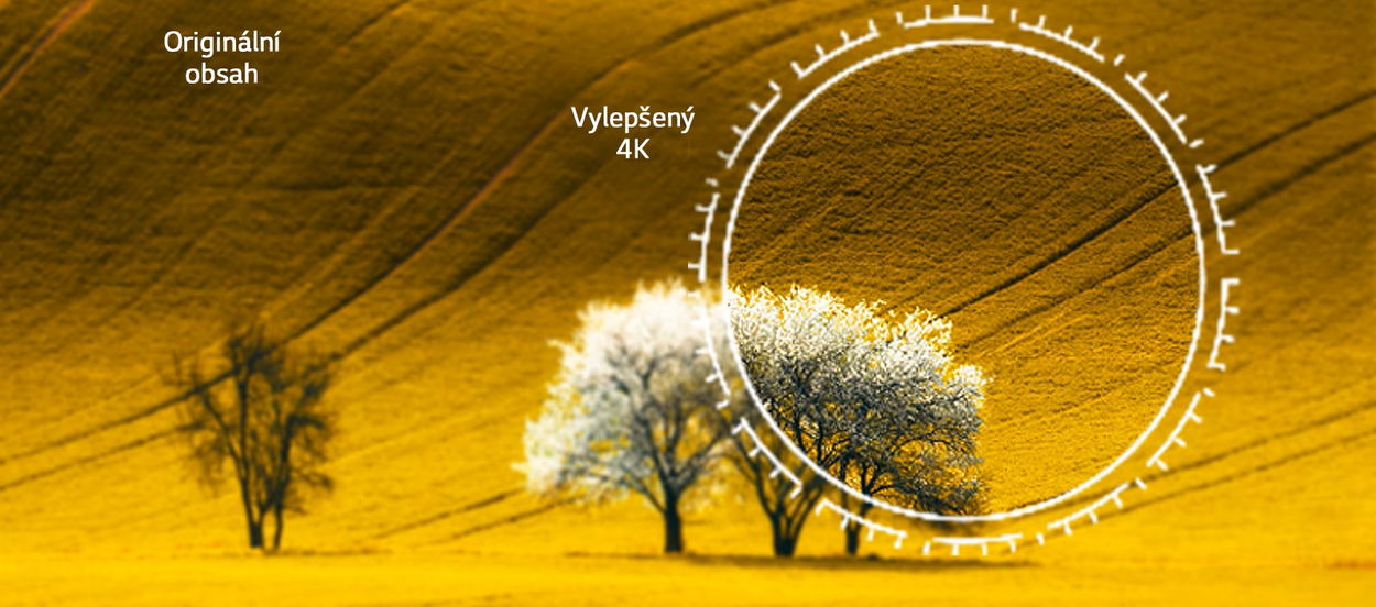 Televize 43" LG 43UR78006