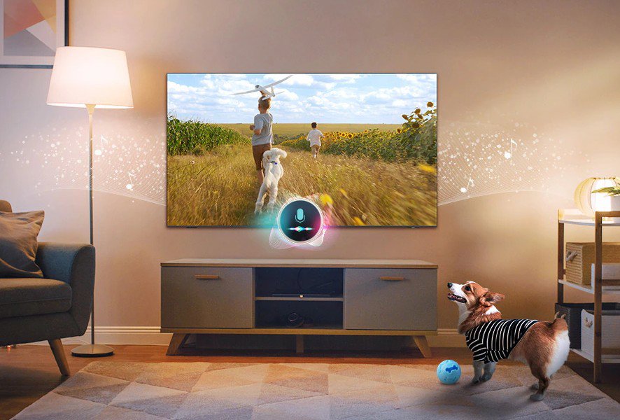 Televize Samsung QN1EF