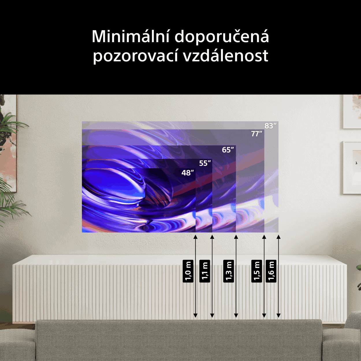 Sony Bravia 6 TV