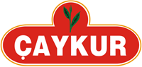 Caykur