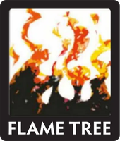 Flame Tree Publishing
