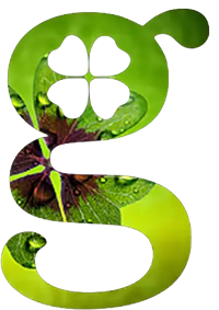 Gipetex