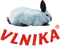VLNIKA