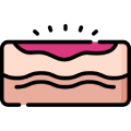 Plasters, Bandages, Compresses
