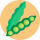 Semena luskovin na pěstování