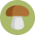 Books on Mushrooms & Mushrooming