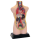Pomůcky do výuky – cenové bomby, akce
