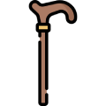 Walking Sticks HomeLife