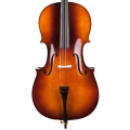 Cello Strings Stagg