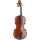 Geigenkoffer Palatino
