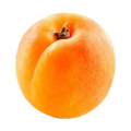 Apricot Purees Ovocňák