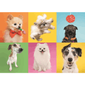 Dog-Themed Puzzles