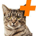 Chovateľské potreby pre mačky s AlzaPlus+ zadarmo Fitmin
