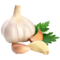 Garlic GREEN IDEA