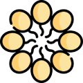 Lecitin