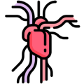 Heart & Circulatory Medications