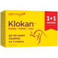 Kolagen typu II