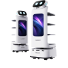 Single-Purpose Robots Keenon
