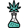 Drug Tests