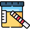 Home Urine Tests
