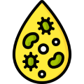 Urinary Tract Infection Tests