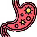 Domácí testy na Helicobacter pylori