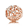 Pandora rose gold charm
