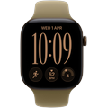 Apple Watch 12