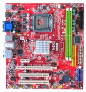 MSI P6NGM-FD - Motherboard