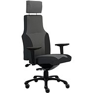 ALBA Ergo - Office Chair