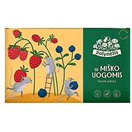 Acorus Forest Blend, fruit tea for children (20 sachets) - Tea